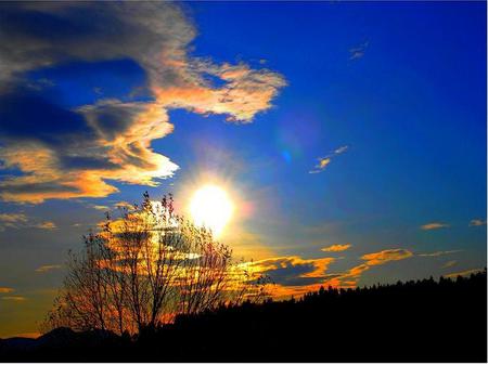 Saturday sunset - golden color, sunset, wispy clouds, blue sky, tree