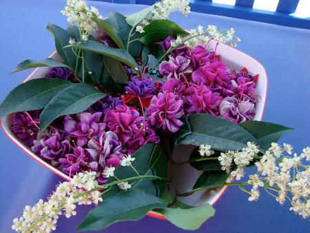 For all of you from me - white, bright, purple, pink, green leaves, bowl, flowers