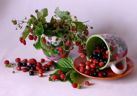 wild berries - strawberries, blueberries, beautiful, photography, photo, cool, still life, tasty, wild berries, leaves, harmony, fruit, nice, glass