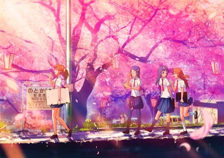 tagme - tagme, petals, anime, tree, seifuku