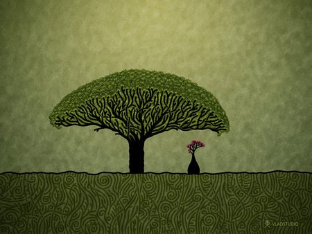 Socotra - painting, tree, fantasy, huge, socotra, hdmgreen