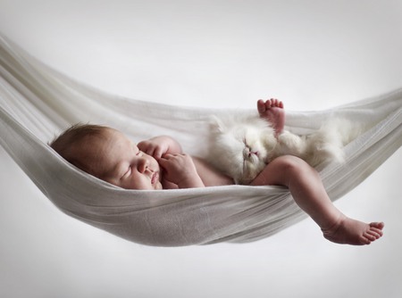 Dream Land - white, hammock, baby, kitten, sweet, nap, swing, sleeping