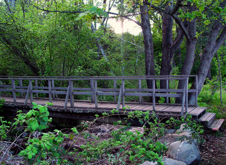 Bridge - forets, river, bridges, nature