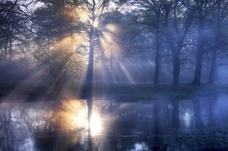 Light - rivers, forests, blue, light