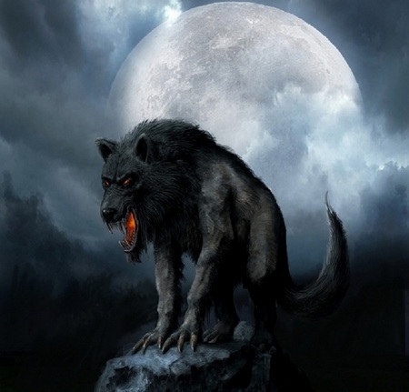 The Howling - moon, wolf, howling, werewolf