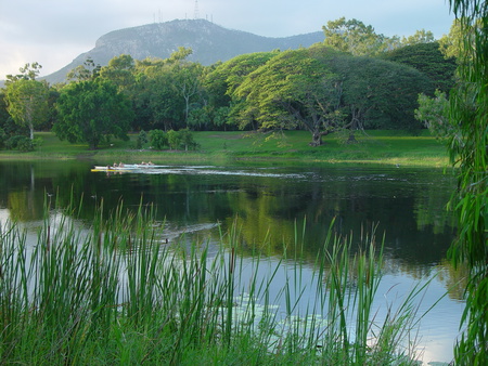 Rowing on the lake - trees, rowing, boat, lake, mountain, grassland, bank