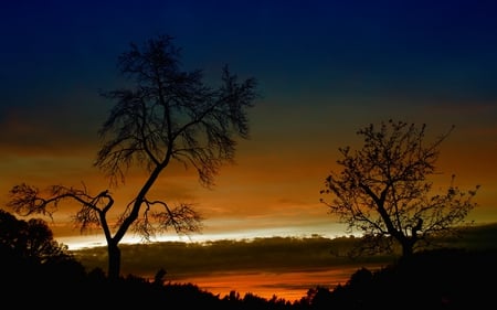 Sunset - clouds, trees, beautiful, colors, tree, colorful, sunset, nature, peaceful, sky