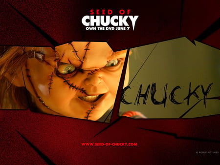 Chucky - seed of chucky, doll, killer, funny, evil, spells