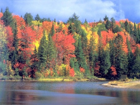 Autumn Raiment - colorful, lake, leaves, autumn