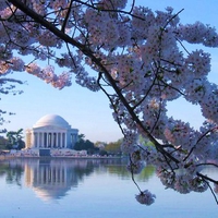 Jefferson Memorial