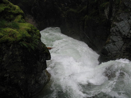 British Columbia - Vancouver Island Rapids - rapids, lake, scenic, mountain, british columbia, bc, water, moss, waves, nature, view, river, island, canada, tree, outdoor