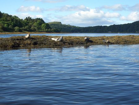 Scotland - Loch Feochan - lochs, lakes, loch, scotland