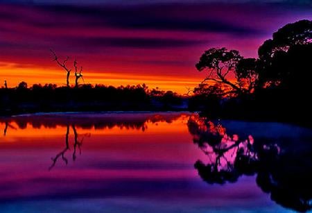 Magical morning - fuschia, reflections, shore, lake, sky, clouds, orange, trees, dawn