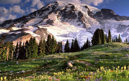 the mountains - nataure, sky, trees, mountains, grass