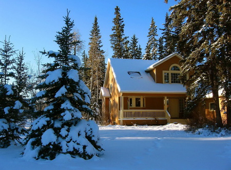 cold - house, cold, pines, snow