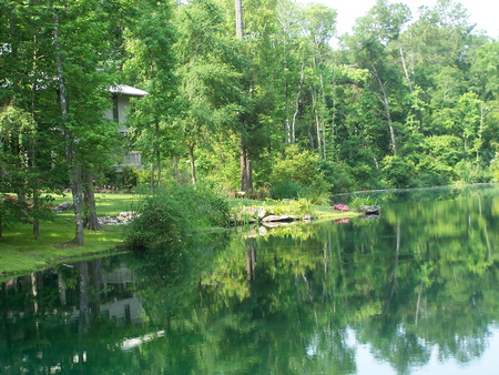 green vacation - nature, water, green, lake