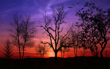 Lovely As A Tree - colors, sunset, brushes, trees