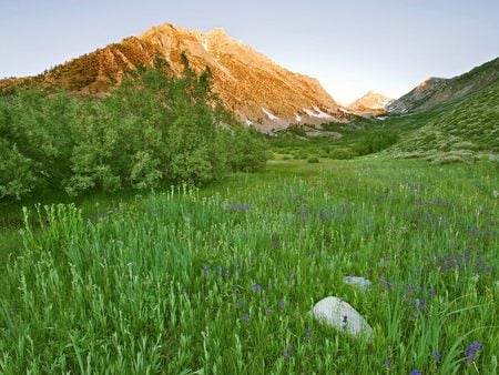 Grassland - nature, grass, field, mountain, grassland