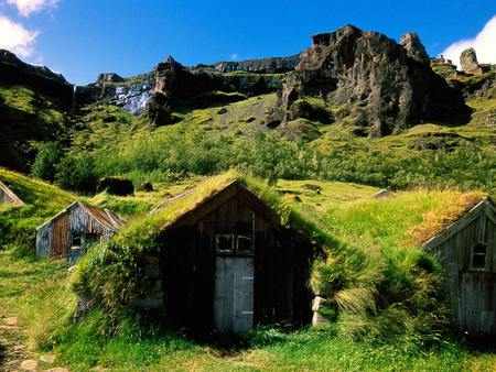 Sweet forest cabin - nature, cabin, field, grass, grassland