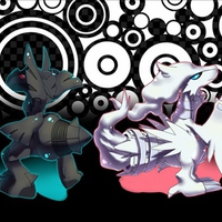 reshiram and zerkom