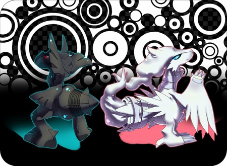 reshiram and zerkom - anime, zerkom, pokemon black and white, reshiram