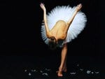 Swan lake bow