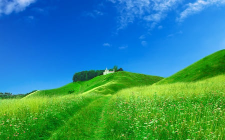 Beautiful Field - beauty, sky, trees, peaceful, field, path, spring, white, quiet, clouds, architecture, green, sunny, house, grass, hill, landscape, hills, daylight, day, lovely, nature, picture, church, blue, beautiful, top, splendor, colors, flowers, wildflowers