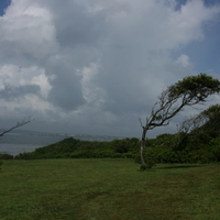 The way The Wind Blows