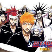 Bleach Soul Socity