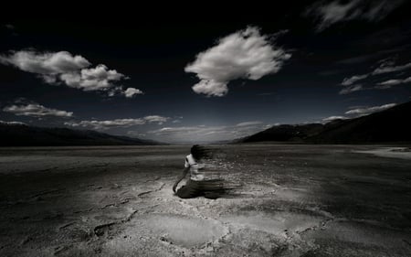 Desert Wind - clouds, black, white, desert, dark art, night, dark