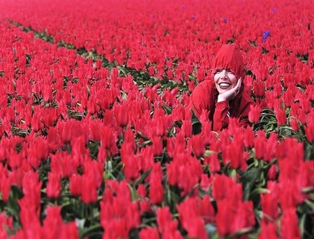 Hide and seek - matching, flowers, rows, red outfit, woman