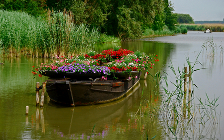 Flower Boat - flowers, nature, water, boat