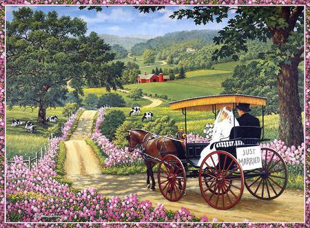 Just Married - groom, bride, road, country, horse, buggy