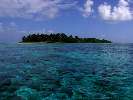 Half Moon Caye - trees, water, blue, sea, island, ocean, sand, crystal clear, green, clear