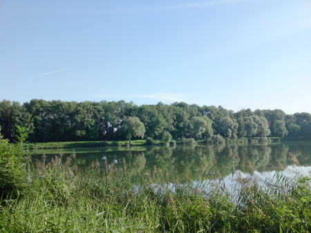 Lake Idyll - lakes, nature, green, trees