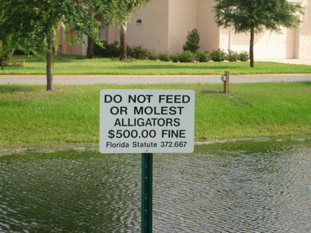 Do You Care to Feed the Alligators? - alligator, sign, do not, river