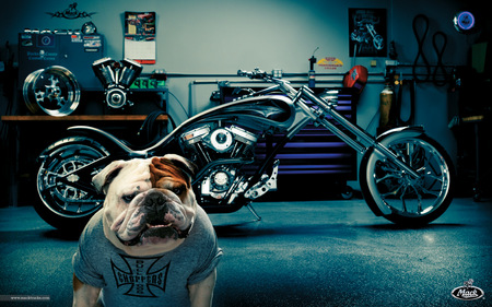 Mack Bulldog - bike, chopper, mack, bulldog