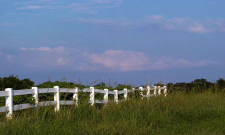 Fenced in pasture - nature, sky, fence, field, pasture, grass