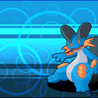 swampert