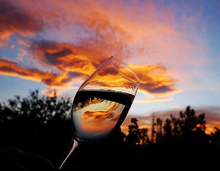 Toast to the sunset - clouds, trees, sunset, coral color, wine glass, reflection, toast