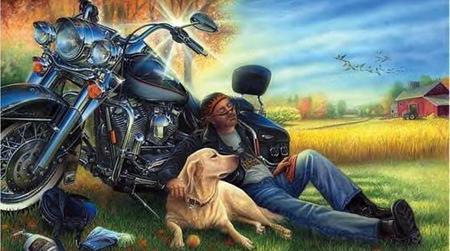 Bikers best friend - bikers, dogs, relaxing, friends