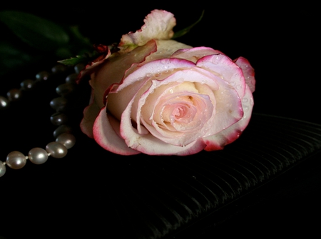 Beautiful Rose - pretty, roses, pearls, beautiful, photography, drops, beauty, lovely, flowers, nature, rose