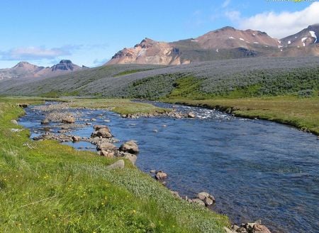 Wild Valley Iceland - shrubs, mountains, clear, rocks, water, grass