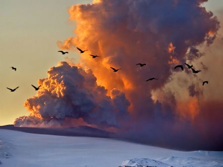 Ash Cloud - fire, ash, volcano, smoke, hot, birds, snow