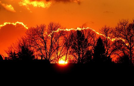 Sunset cloud - cloud, tree, sunset, sun