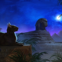 THE CAT