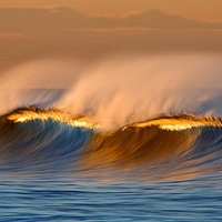 Golden Wave