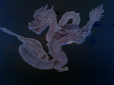 twin Dragons dancing - dragon, black, chinese, luminated