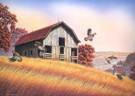 A  Flurry Of Wings - fall, wheat, pheasants, country, barn