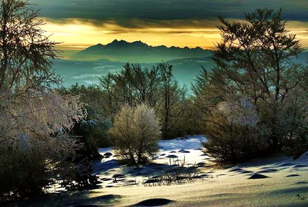 Winter calm - trees, yellow and aqua sky, light snow, frost, mountains, peaceful, rocks